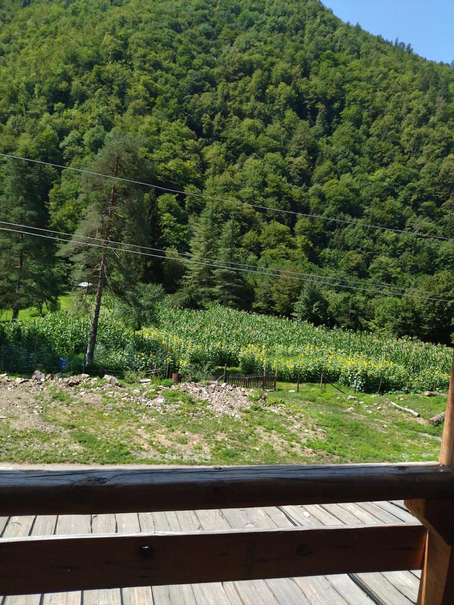 Hotel Alismereti Zekari Экстерьер фото